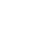 Wizard 
