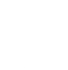 Wizard 